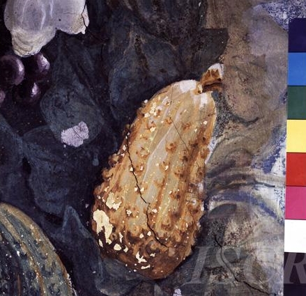 ISCR I colori della prosperità 02