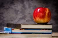 AGGIORNAMENTI E NOVIT&Agrave; SUL SERVIZIO MENSA SCOLASTICA DEL COMUNE DI MATERA